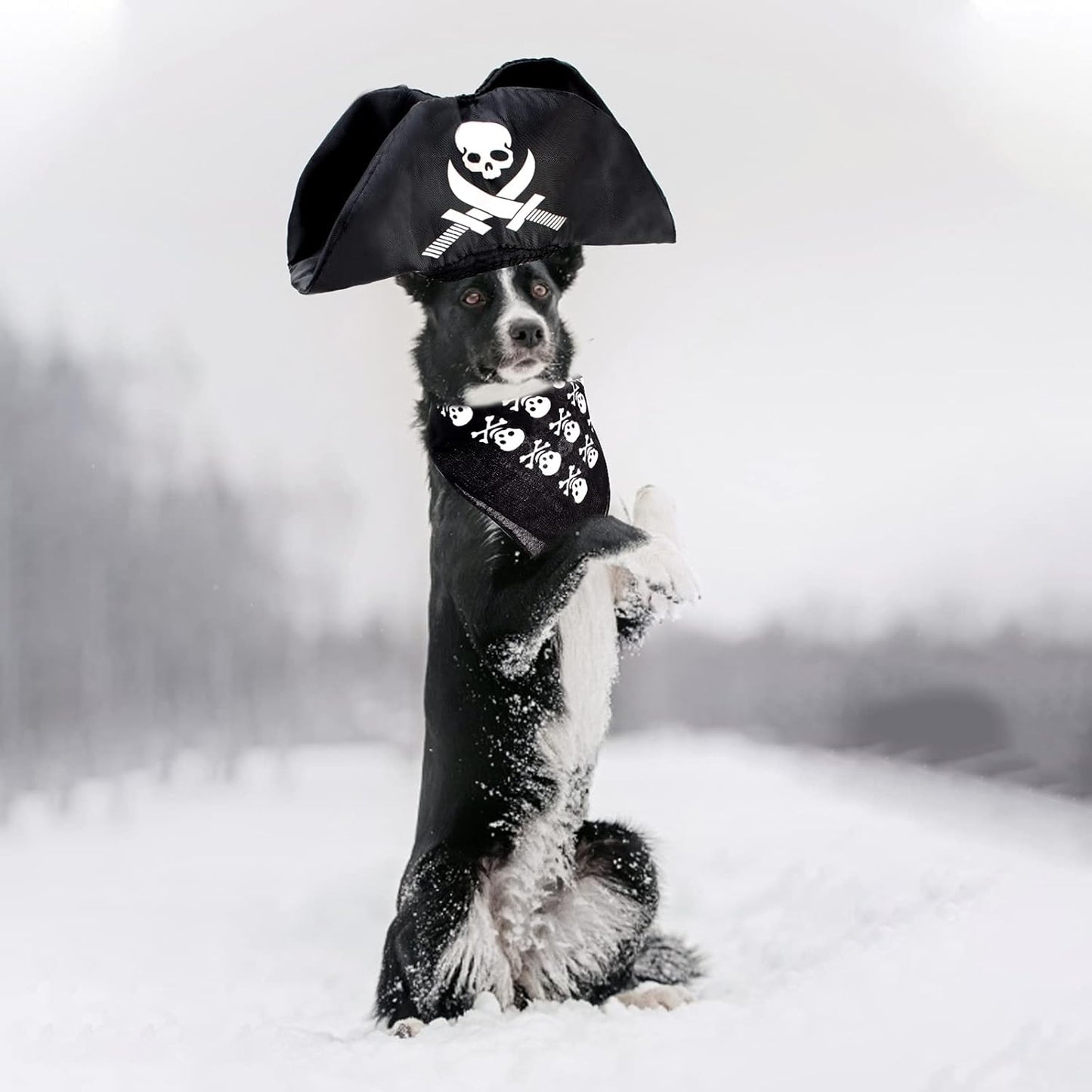 Adorable Pet Pirate Hat & Skull Bandana Set - Perfect Costume Accessories for Cats & Dogs - Ideal for Halloween Photoshoots!