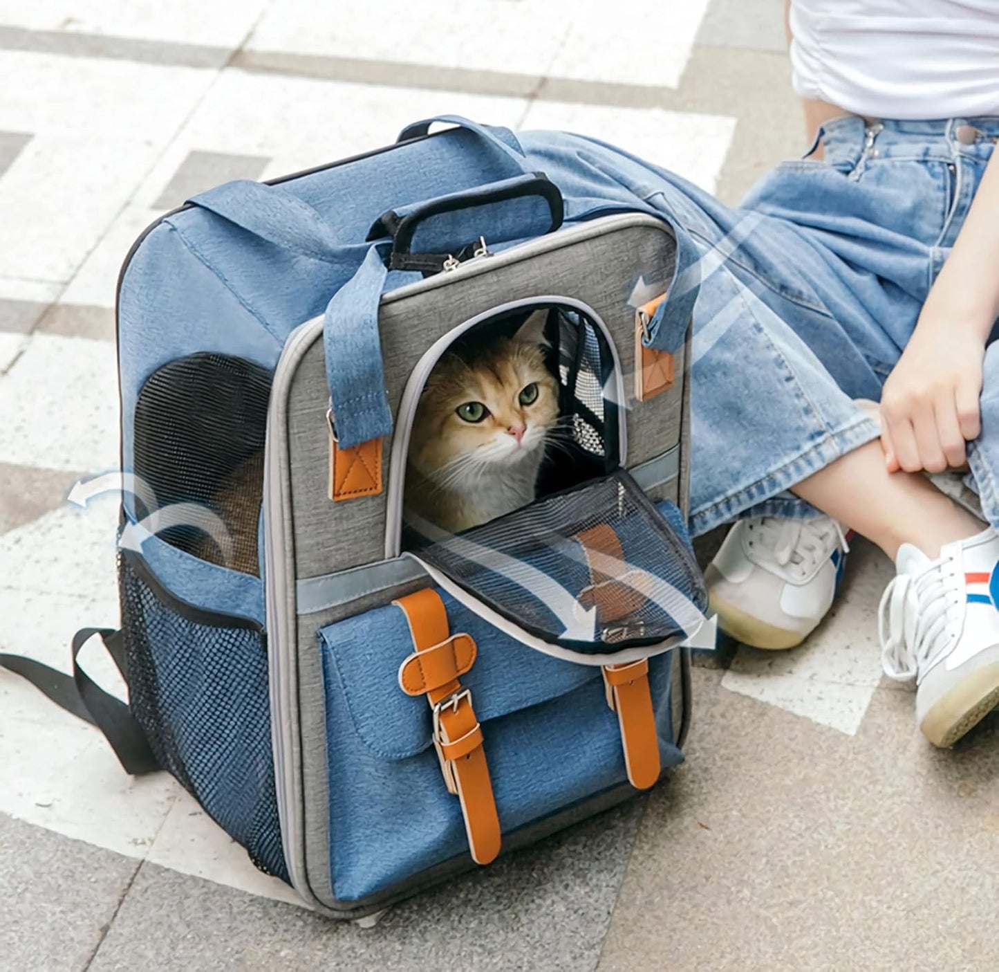 Premium Pet Carrier Backpack for Cats and Small Dogs - Comfortable, Ventilated, and Stylish for Travel and Hiking (Blue)