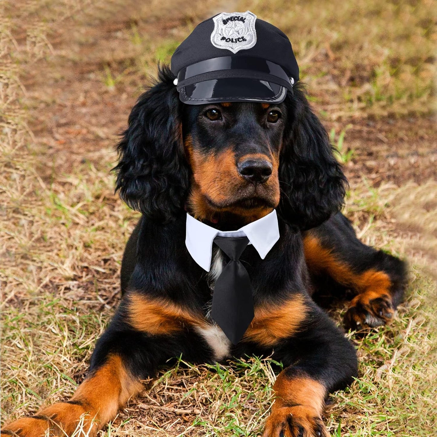 Adorable Pet Police Costume Set - 2 Piece Dog & Cat Accessory Kit with Hat & Necktie for Halloween, Christmas, and Cosplay Fun!