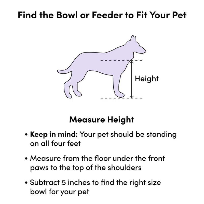 Non-Slip Double Pet Bowl Set - Perfect for Mess-Free Feeding!