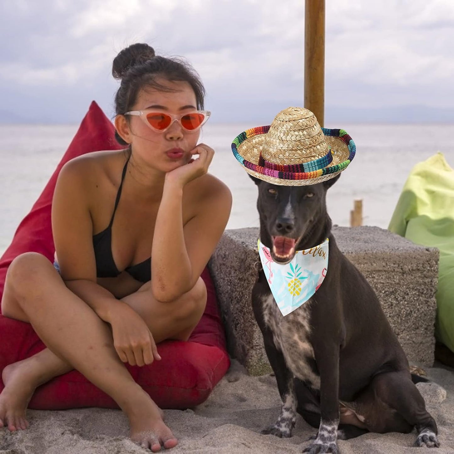 Adorable 2-Piece Pet Costume Set - Adjustable Straw Hat & Hawaiian Triangle Scarves for Dogs & Cats - Perfect for Birthdays, Cosplay, and Summer Fun (Blue)