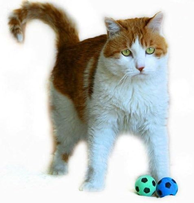 Interactive Foam Soccer Balls for Cats - 12 Pack of Soft, Bouncy, Noise-Free Indoor Toys in Vibrant Colors!