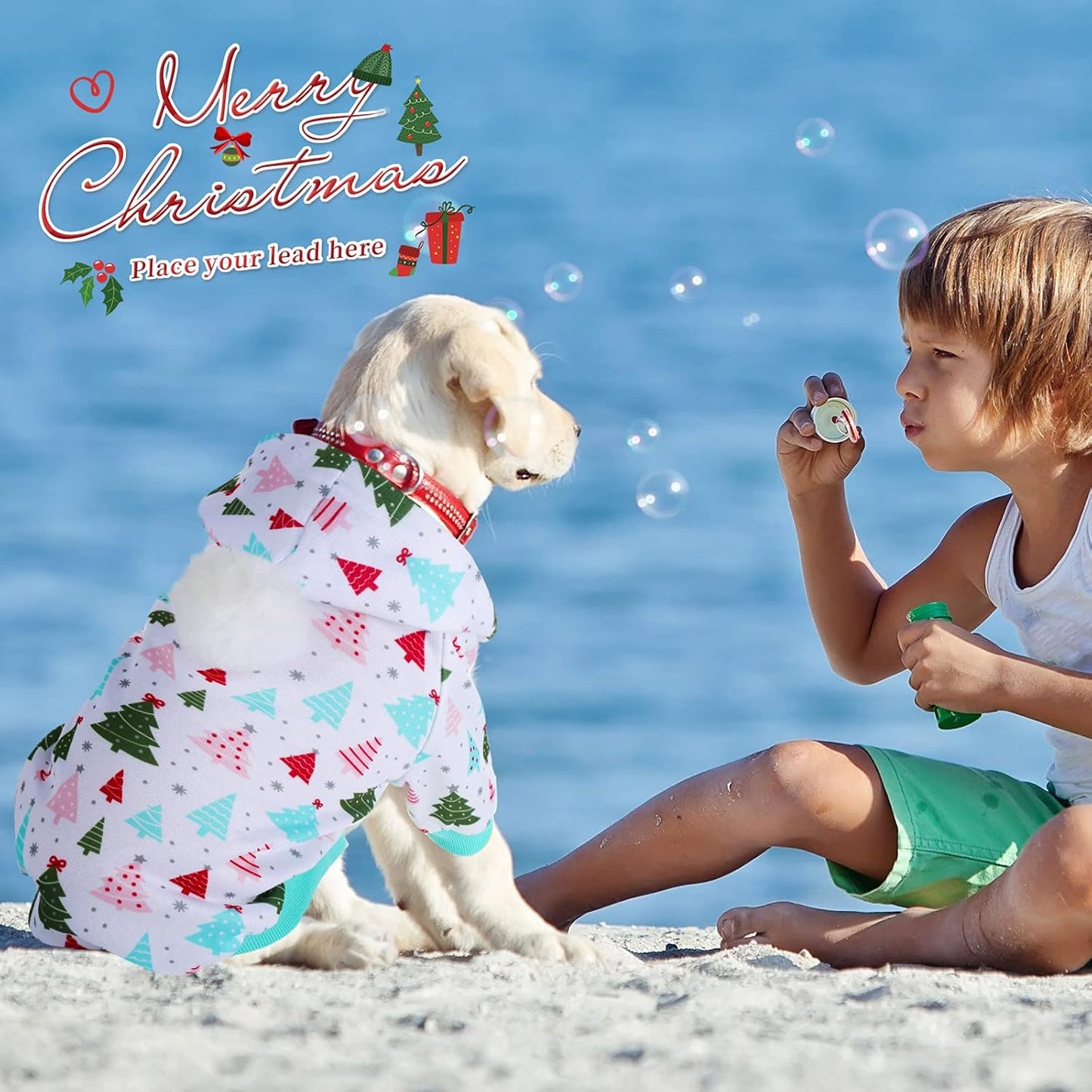 Cozy 3-Pack Christmas Dog Sweaters - Winter Hoodies for Puppies & Small Dogs (Medium Size)