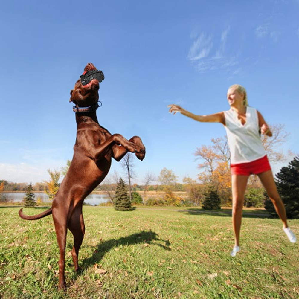 Indestructible Dog Chew Toys for Aggressive Chewers - Safe, Durable, and Non-Toxic Dental Toys for All Dog Sizes - Black