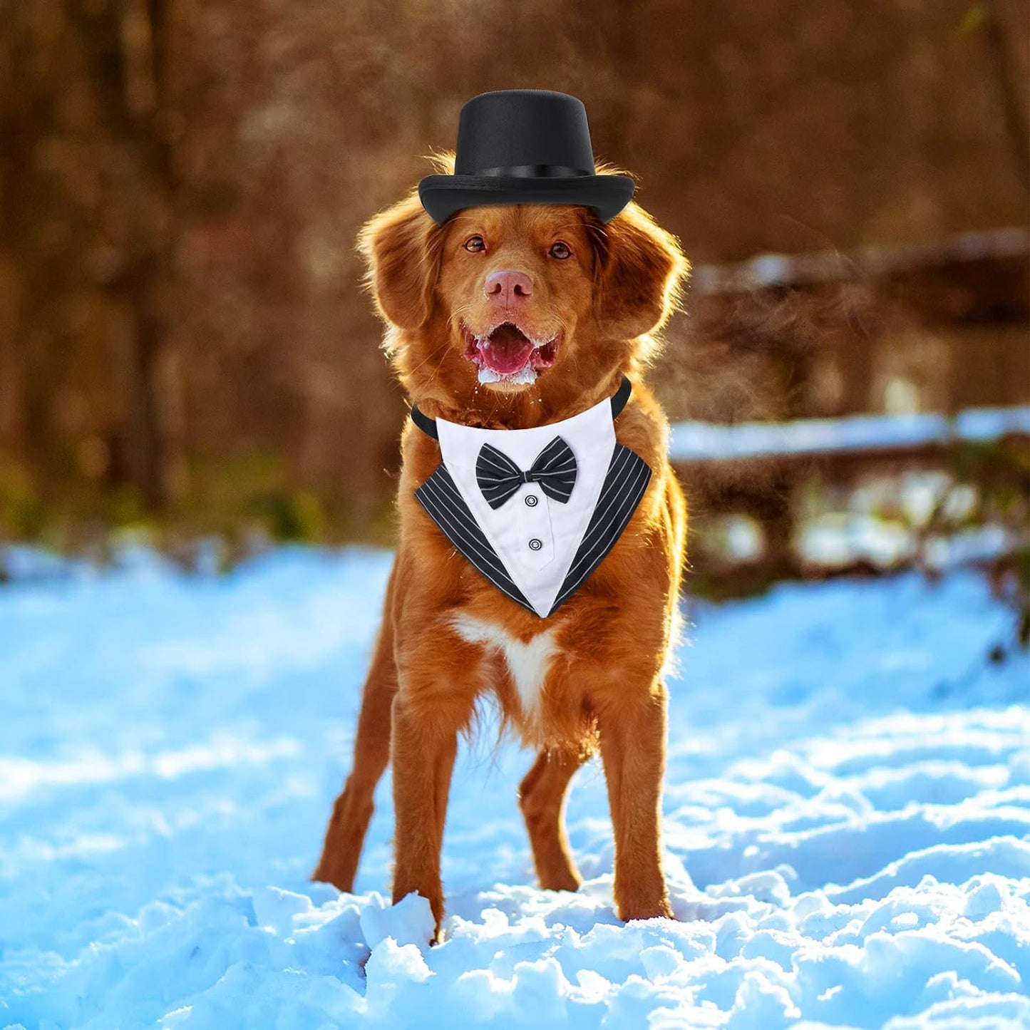 Stylish Pet Formal Accessories Set - Top Hat & Tuxedo Bandana for Dogs & Cats - Perfect for Birthdays, Graduations & Halloween (Set-A)