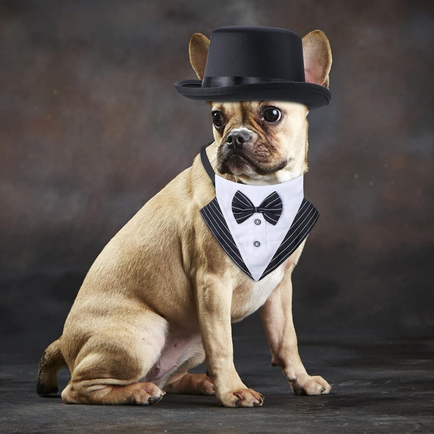 Stylish Pet Formal Accessories Set - Top Hat & Tuxedo Bandana for Dogs & Cats - Perfect for Birthdays, Graduations & Halloween (Set-A)