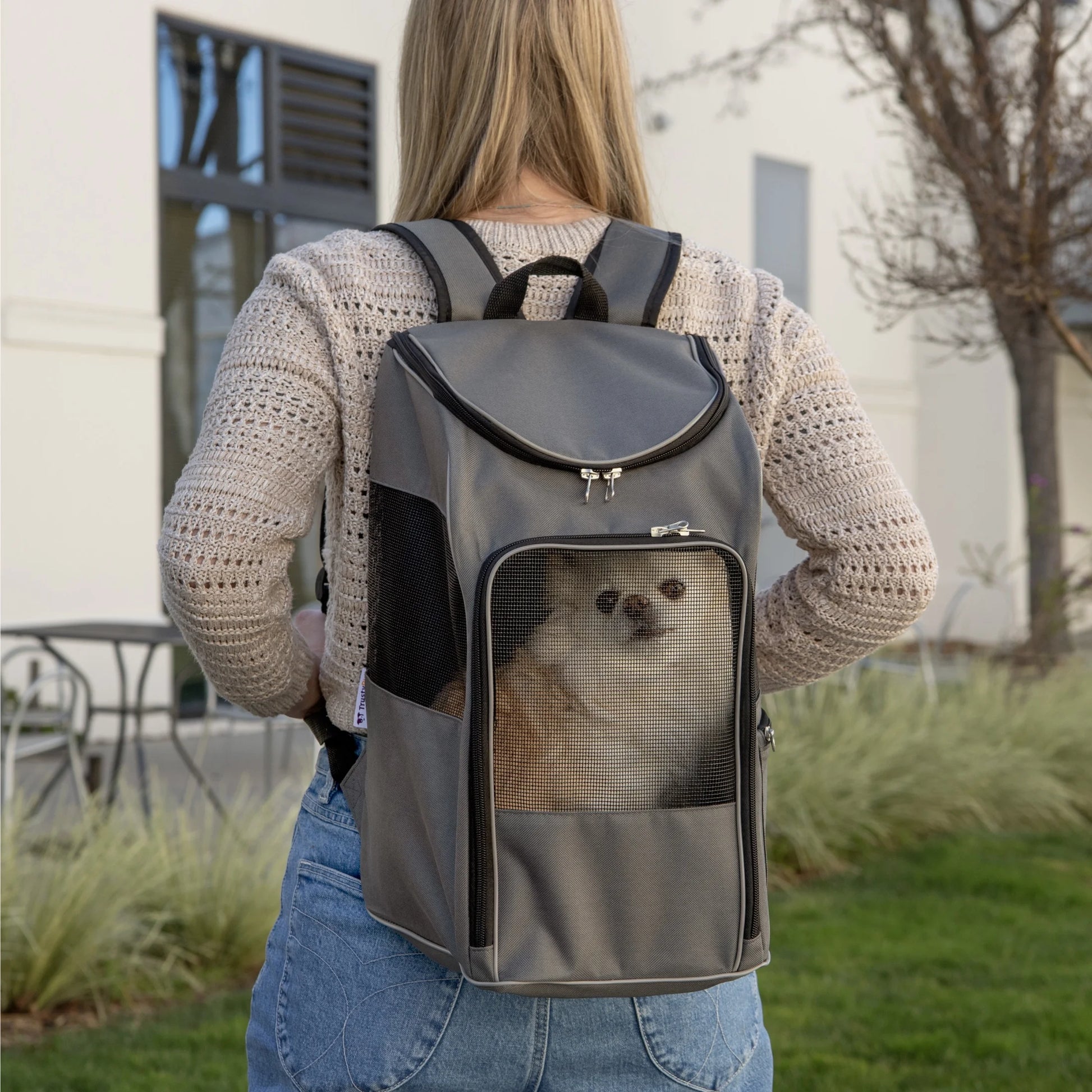 Stylish Gray Medium Pet Backpack for Cats & Dogs - Perfect for Travel (Up to 16 lbs)