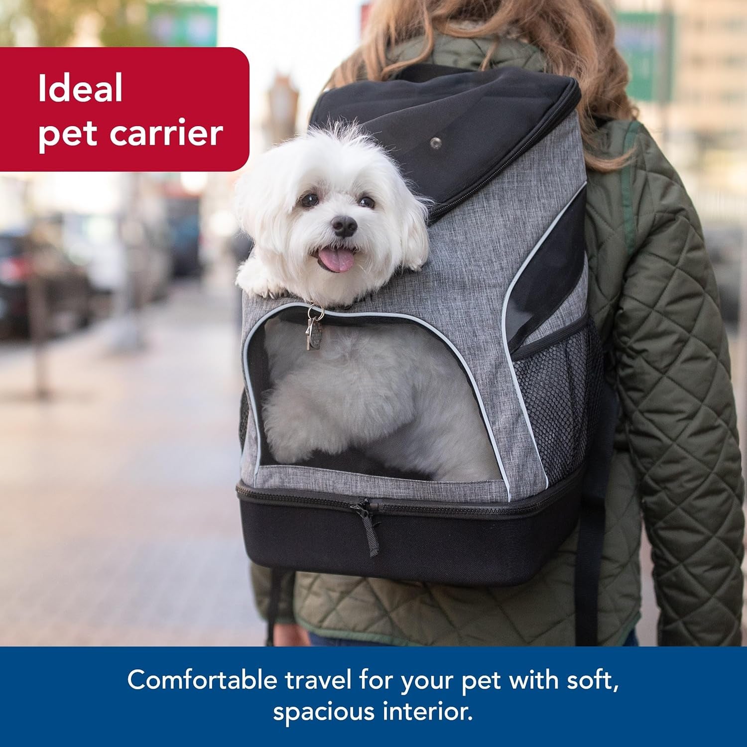 Bergan Backpack Pet Carrier - Travel in Style with Your Furry Friend!