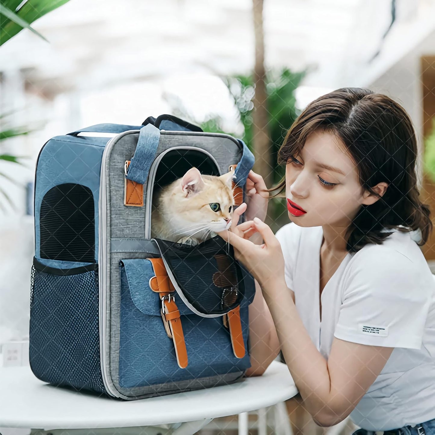 Premium Pet Carrier Backpack for Cats and Small Dogs - Comfortable, Ventilated, and Stylish for Travel and Hiking (Blue)