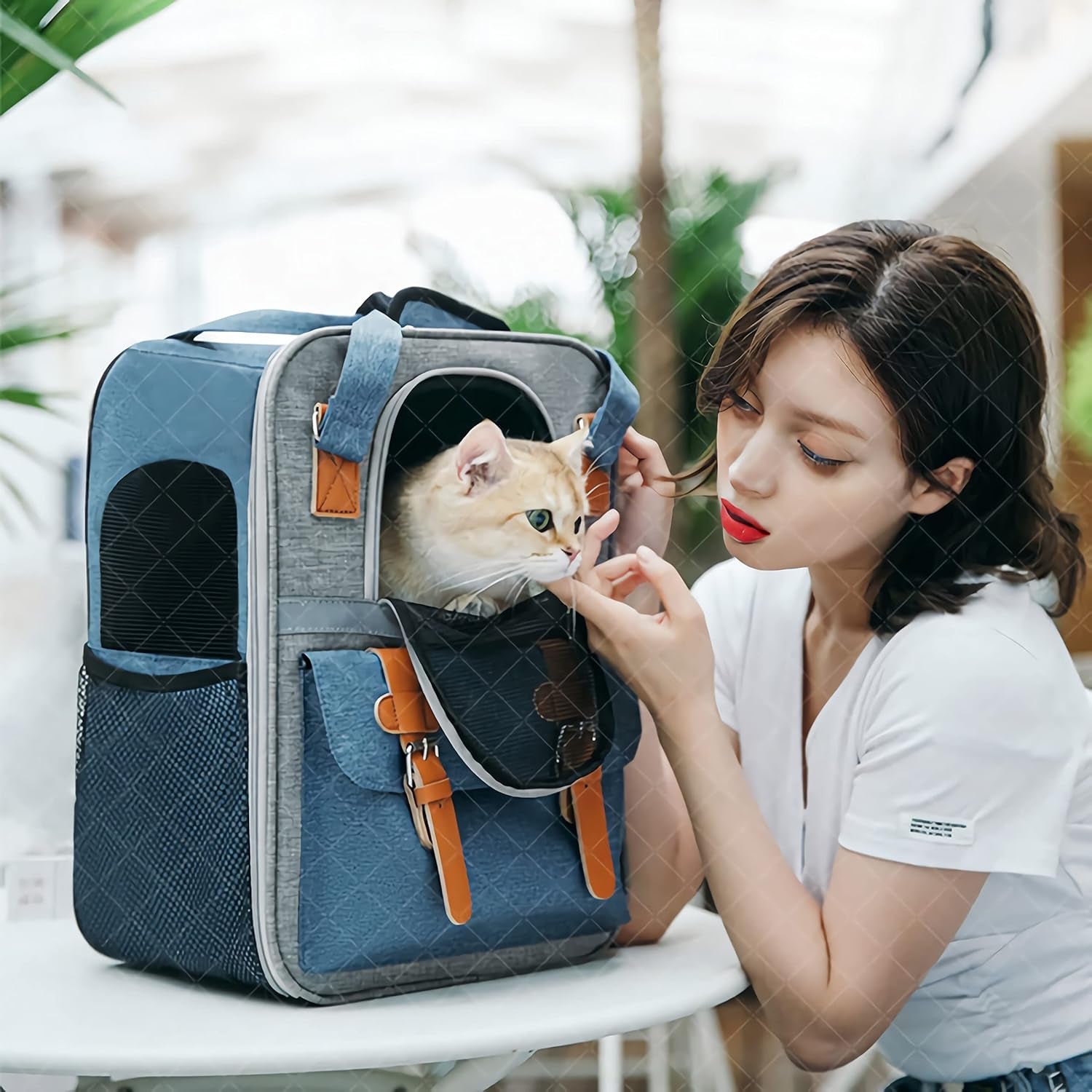 Premium Pet Carrier Backpack for Cats and Small Dogs - Comfortable, Ventilated, and Stylish for Travel and Hiking (Blue)