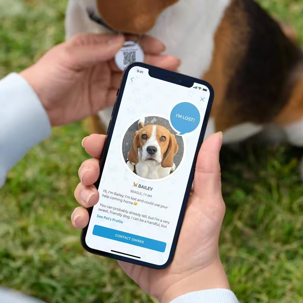 Revolutionary QR Code Pet Tag: Real-Time Alerts & Shareable Pet Profiles!