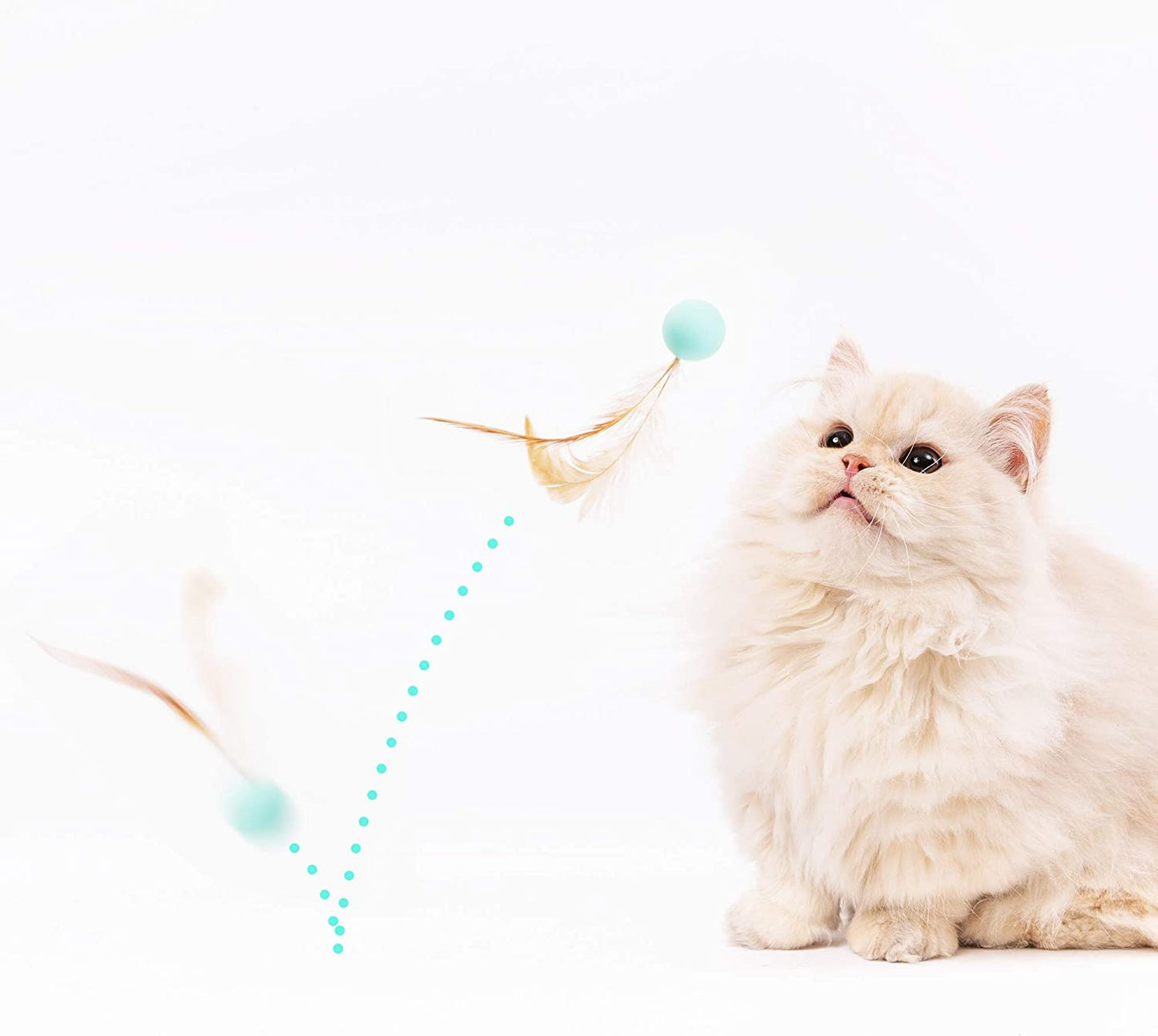 Ultimate Cat Toy Set for Indoor Cats - 6PCS Feather & Silica Gel Balls for Endless Fun!