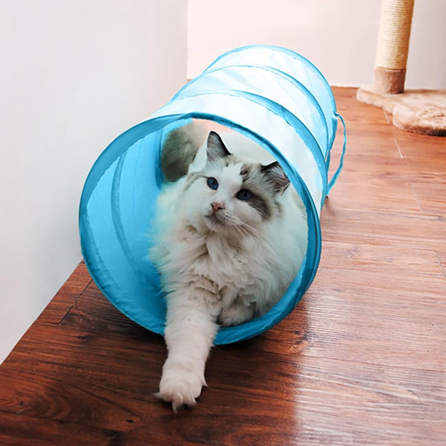 Interactive Cat Tunnel - Collapsible 20" Crinkle Play Tunnel for Cats, Kittens, Rabbits, and Puppies - Fun Indoor Pet Toy