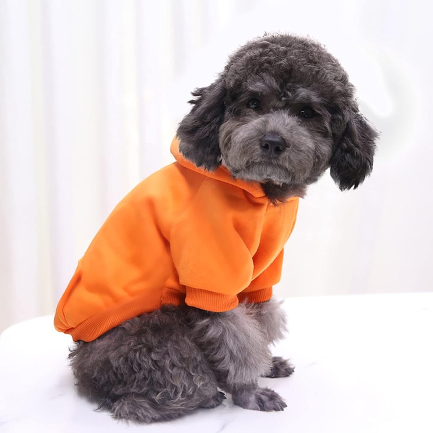 Cozy Winter Dog Hoodie with Pockets - Stylish Sweatshirt for Small Dogs & Cats, Perfect for Chihuahuas and Puppies