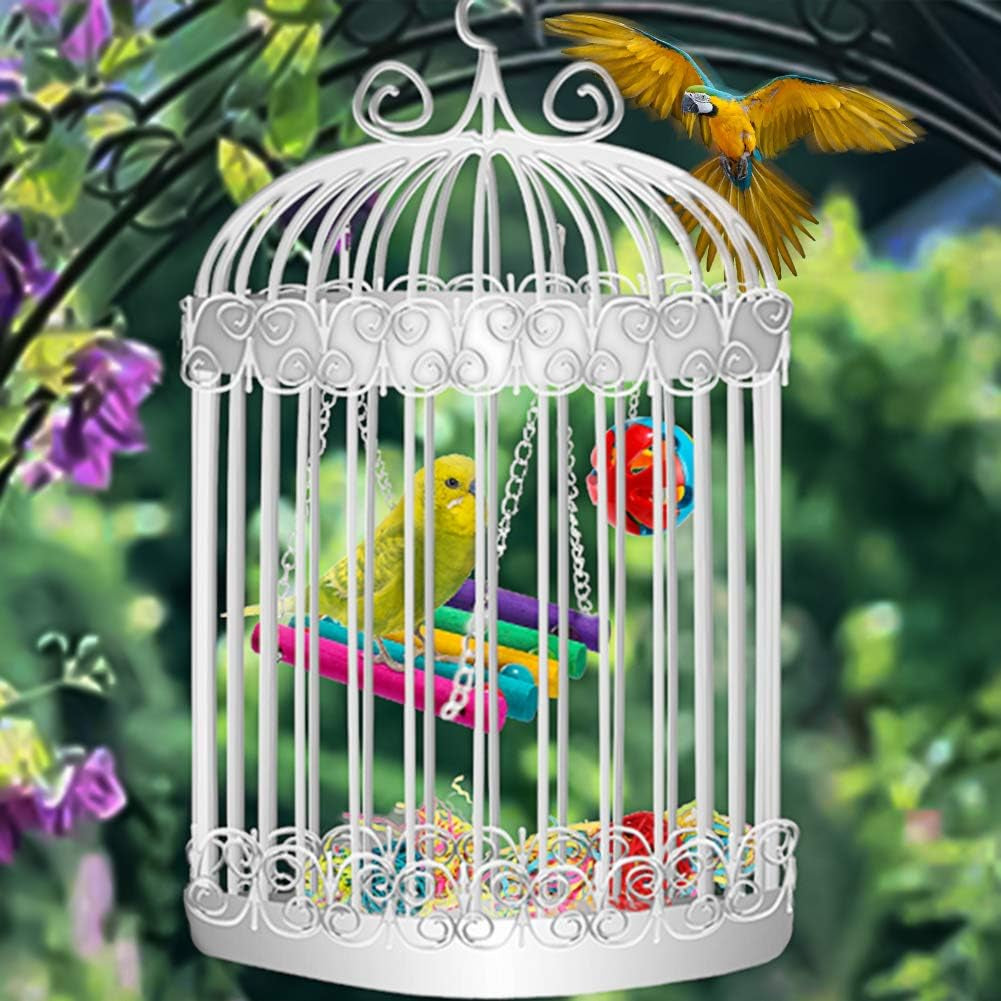 8 Pack Parrot Swing & Chew Toys - Natural Wood & Rope Bungee Toys for Parrots, Parakeets, Conures, Cockatiels, Mynahs, and Love Birds