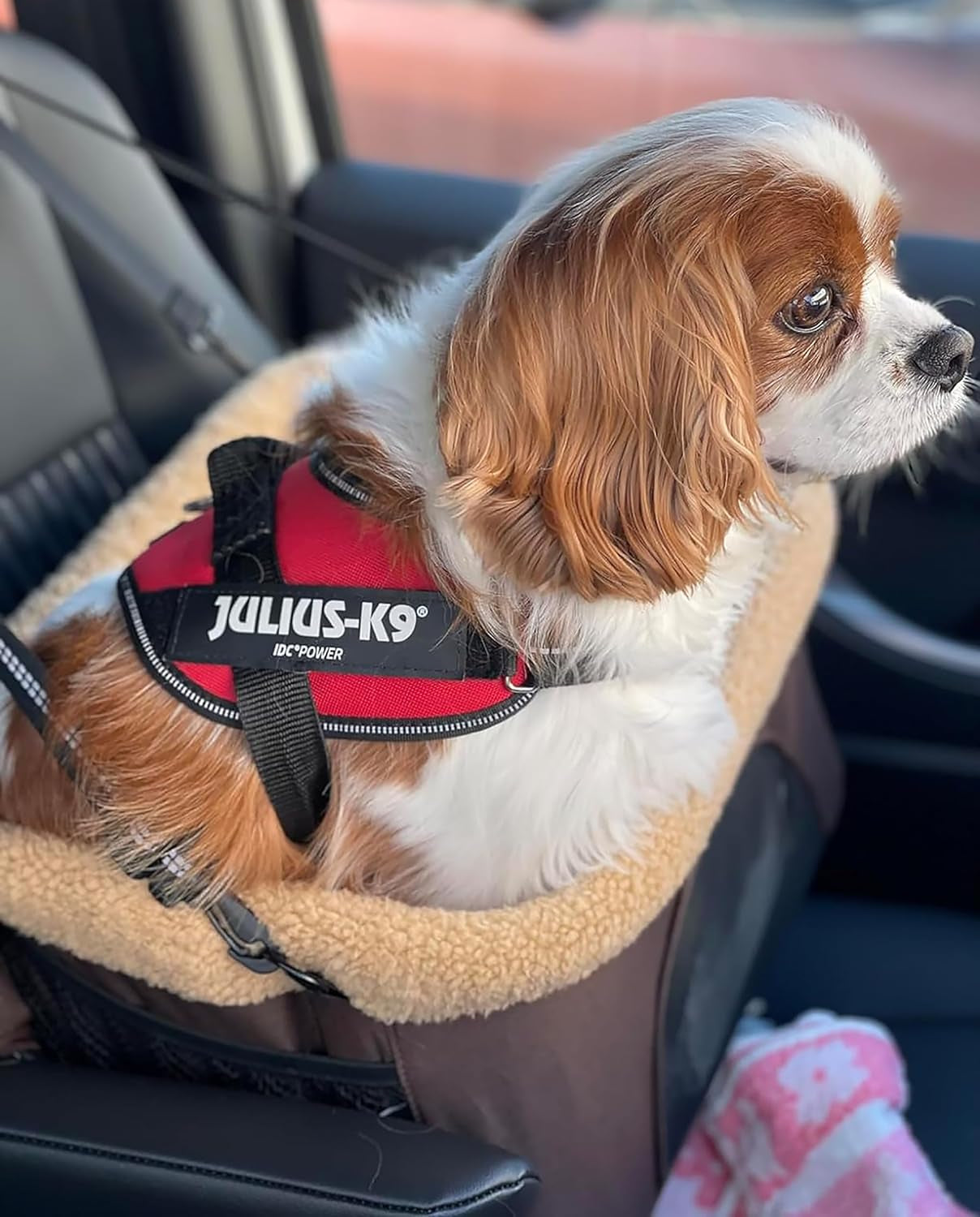 Deluxe 2-in-1 Dog Car Booster Seat & Carrier Sling - Adjustable, Foldable, and Portable Pet Travel System for Small Pets (Under 20lbs) - Plush & Reflective Nylon - Khaki