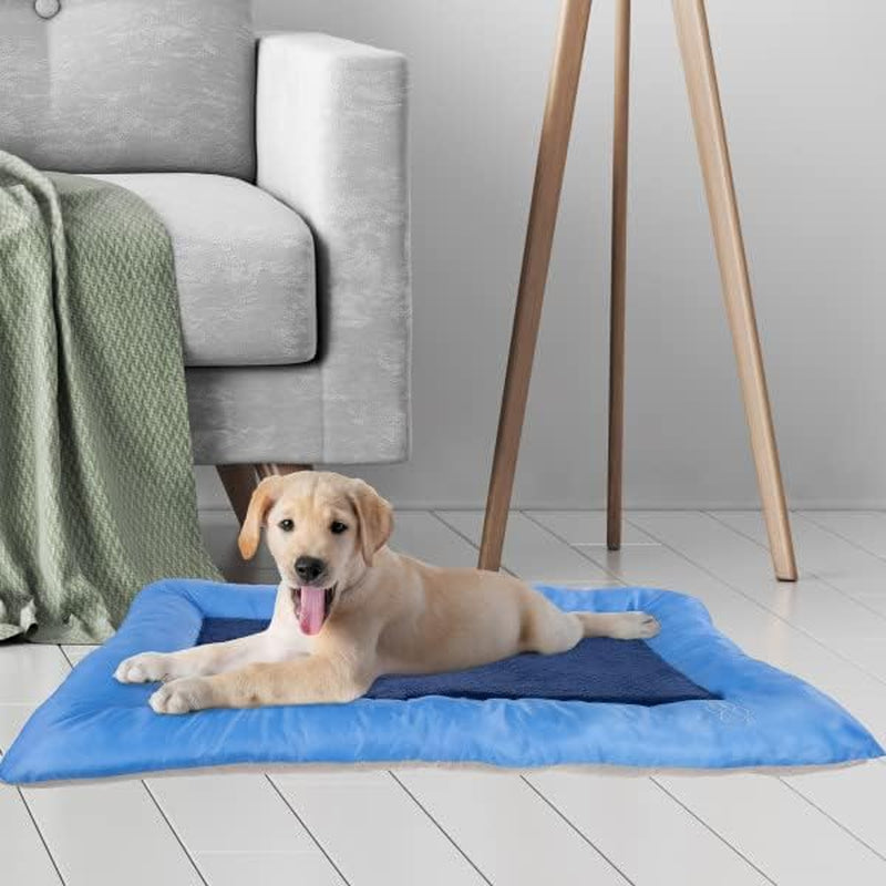 Luxurious X-Large Blue Plush Cozy Pet Crate & Bed for Ultimate Comfort