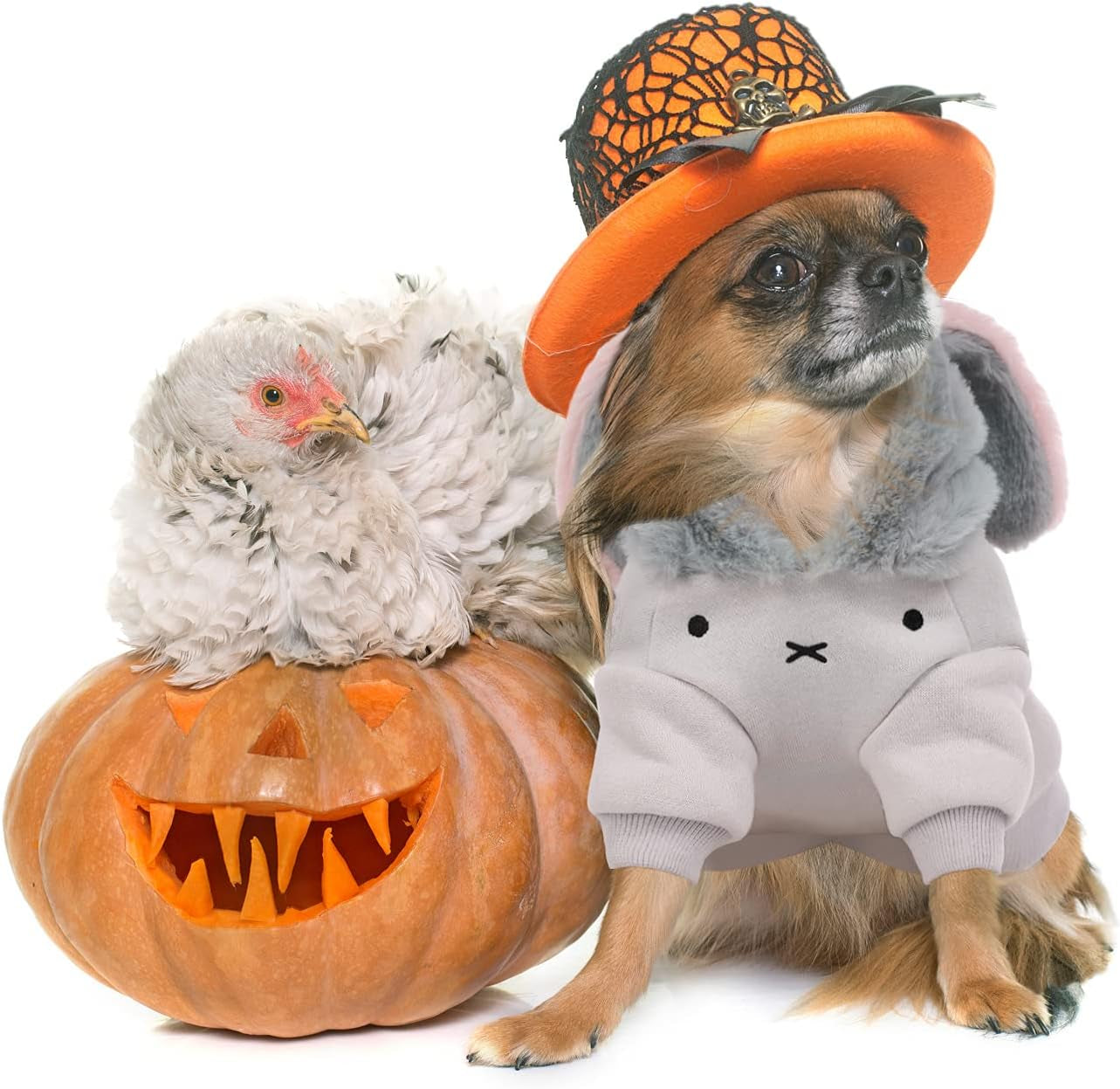 Dog Costume, Bunny Rabbit Hoodie Fleece Lining Cold Weather Clothes for Small Dogs and Cats Grey, X-Small
