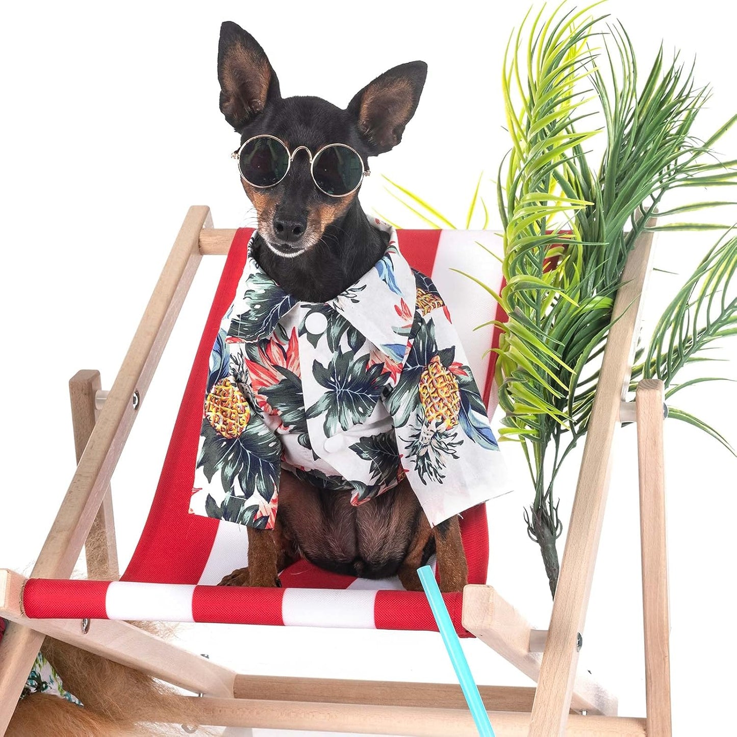 Tropical Vibes Dog Hawaiian Shirt Set - 4 Cool Summer Tees for Small to Large Dogs (Pineapple & Coconut Tree) - Breathable Beach Apparel for Your Pup!