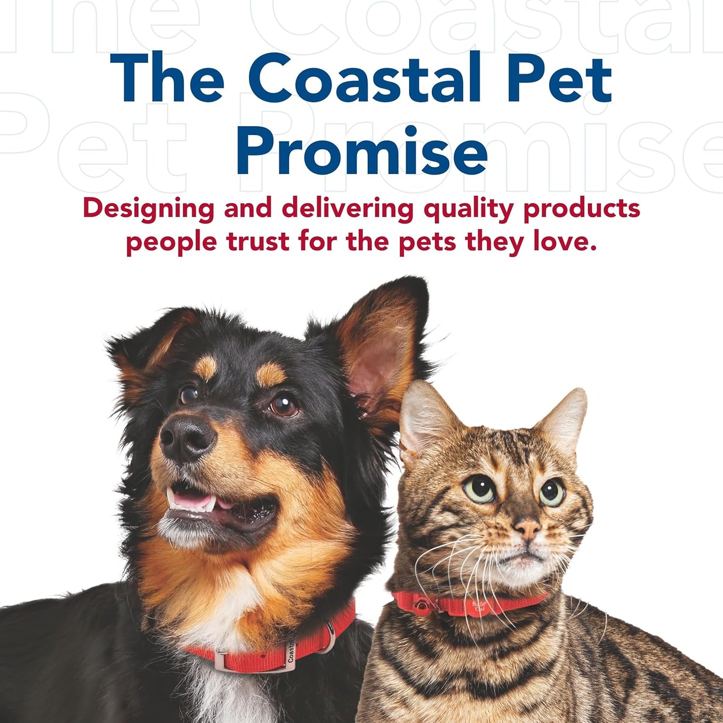 Bergan Backpack Pet Carrier - Travel in Style with Your Furry Friend!