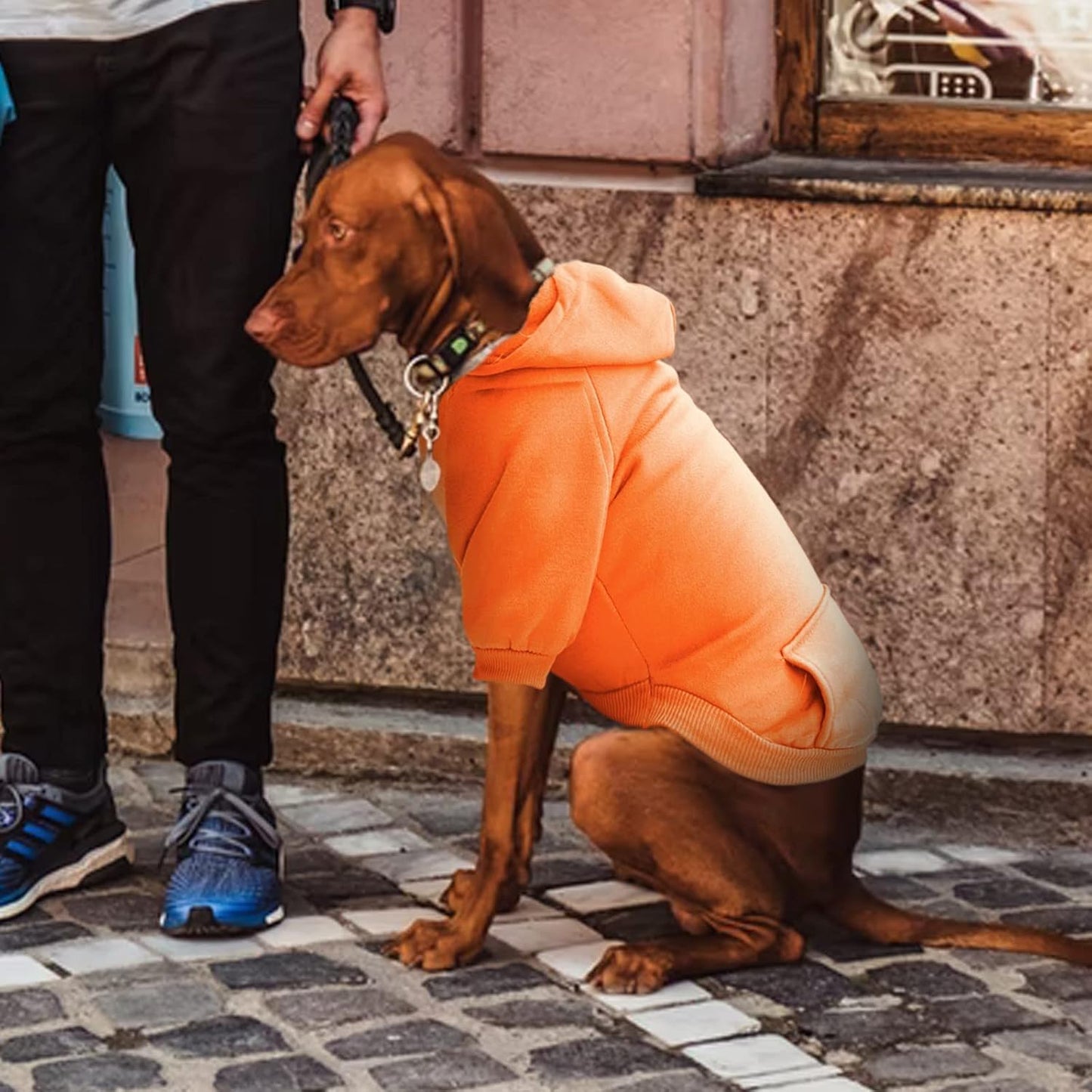Cozy Winter Dog Hoodie with Pockets - Stylish Sweatshirt for Small Dogs & Cats, Perfect for Chihuahuas and Puppies