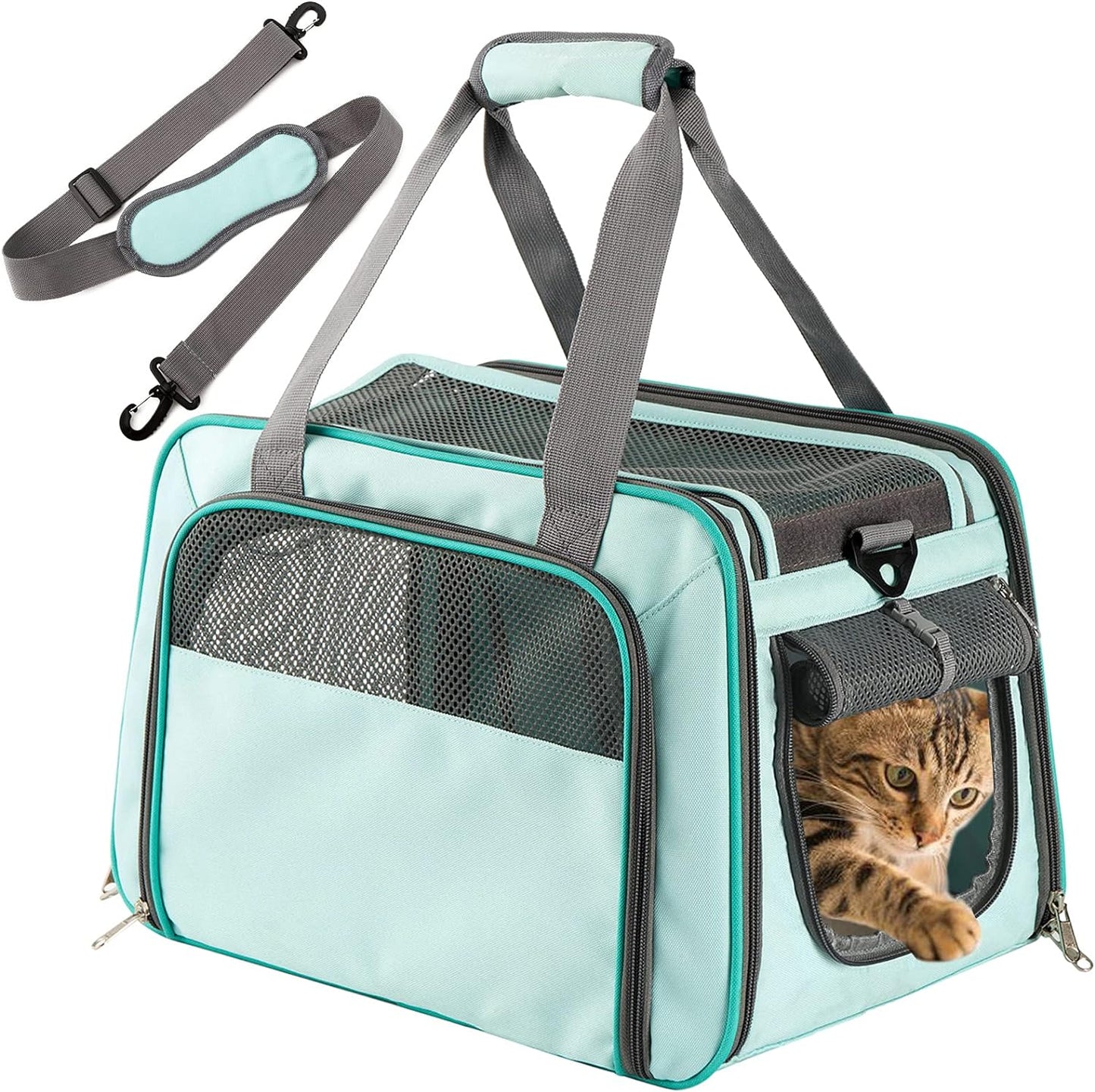 Airline Approved Soft-Sided Pet Carrier for Cats & Small Dogs - Portable Mesh Top Loading Design in Mint