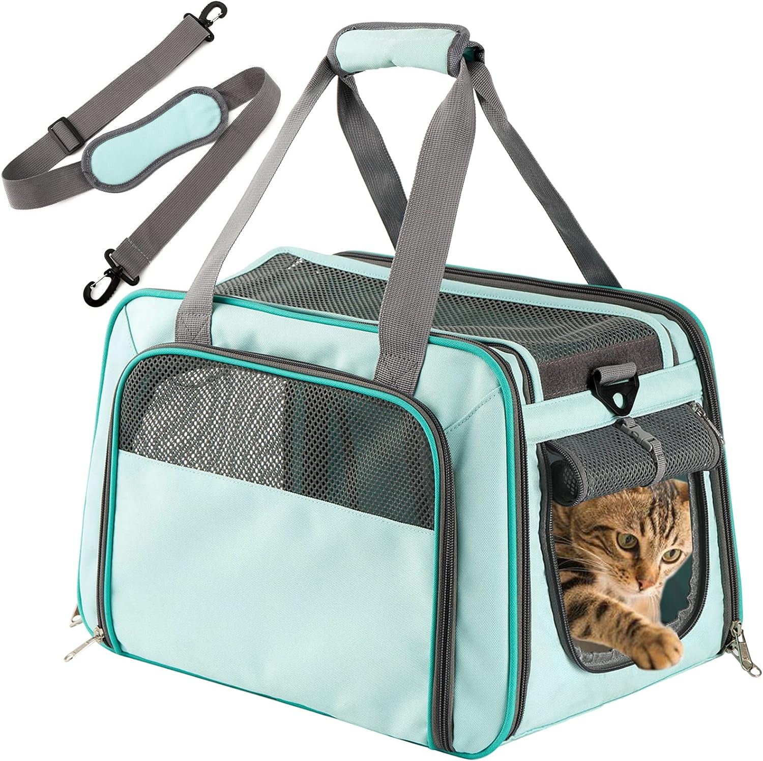 Airline Approved Soft-Sided Pet Carrier for Cats & Small Dogs - Portable Mesh Top Loading Design in Mint