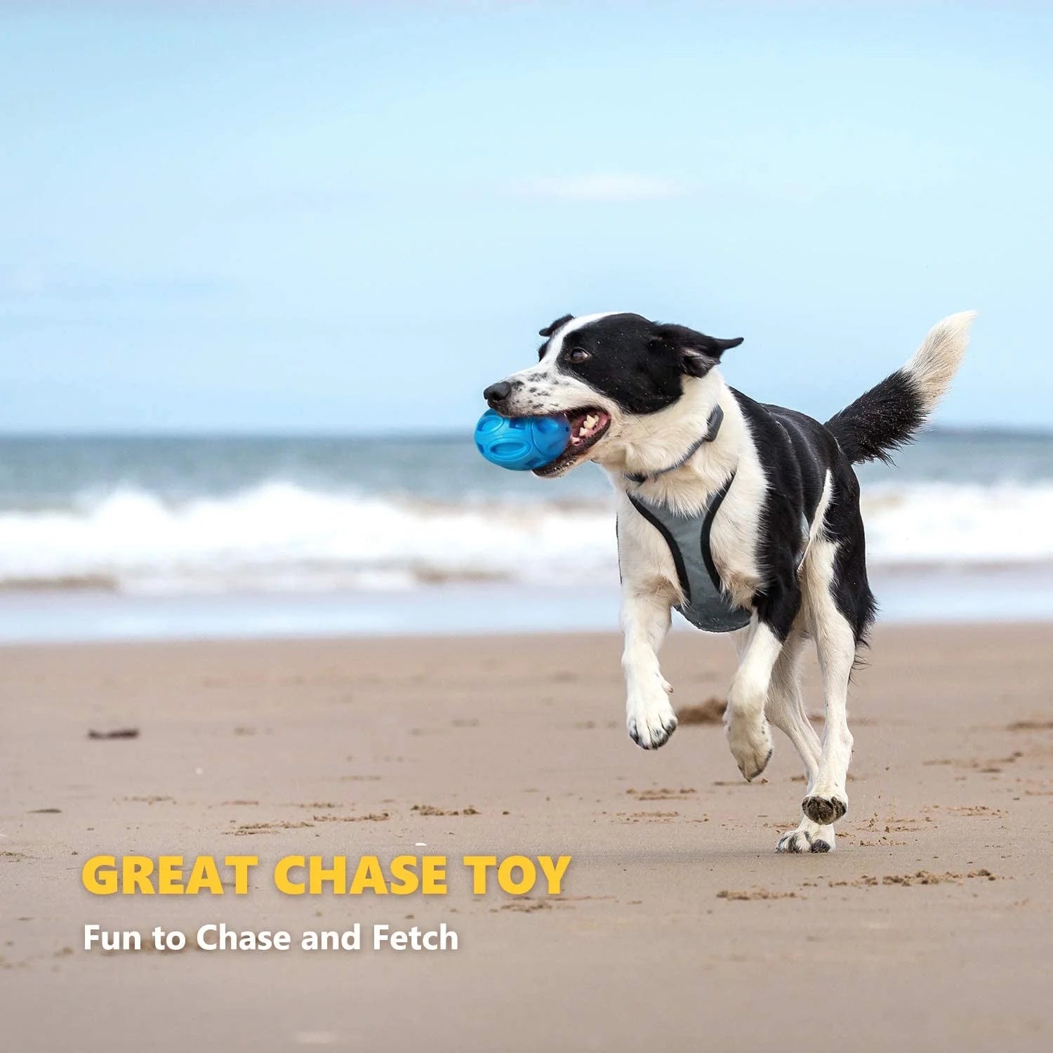 Durable Squeaky Dog Toy Ball - Indestructible Chew Toy for Large & Medium Dogs - Perfect for Puppy Teething - Blue