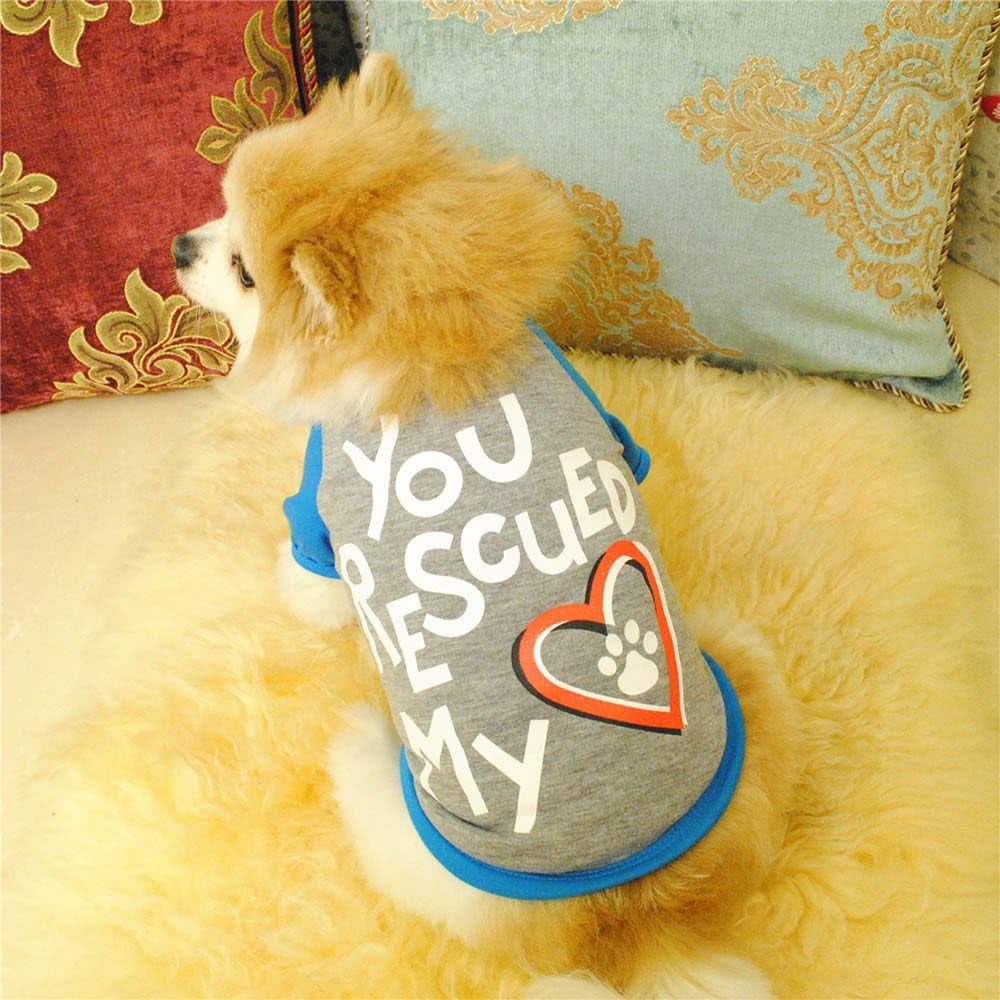 Adorable Gray Summer Pet Shirt - Cute Print Vest for Small Dogs & Cats (M)
