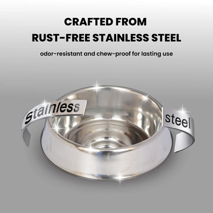 Non-Skid Stainless Steel Pet Bowl for Dogs and Cats - 16 Oz (2 Cup)