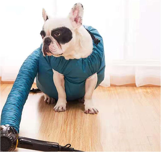 Quick-Dry Pet Hair Dryer for Dogs - Comfortable Grooming Supplies to Reduce Shedding and Enhance Bath Time Experience