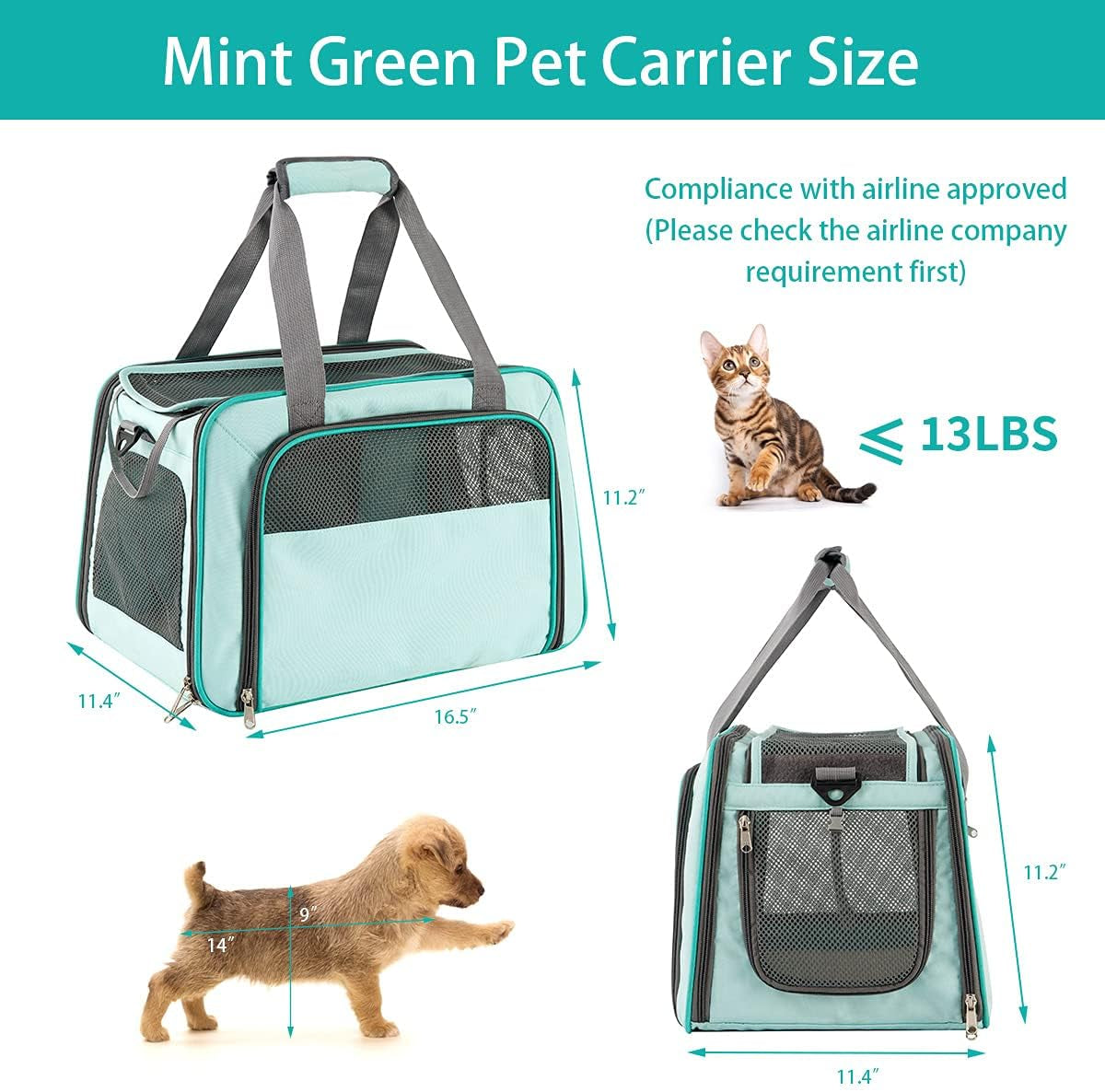 Airline Approved Soft-Sided Pet Carrier for Cats & Small Dogs - Portable Mesh Top Loading Design in Mint