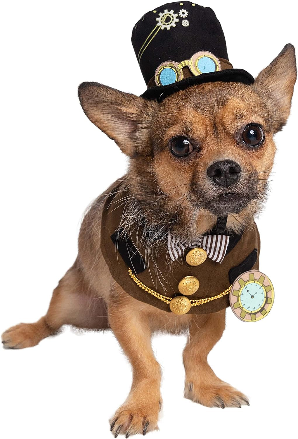 Adorable Steampunk Costume Hat & Collar Set for Small Dogs & Cats - Ideal for Halloween, Christmas, Parties, and Photoshoots! Perfect Gift for Pet Lovers!
