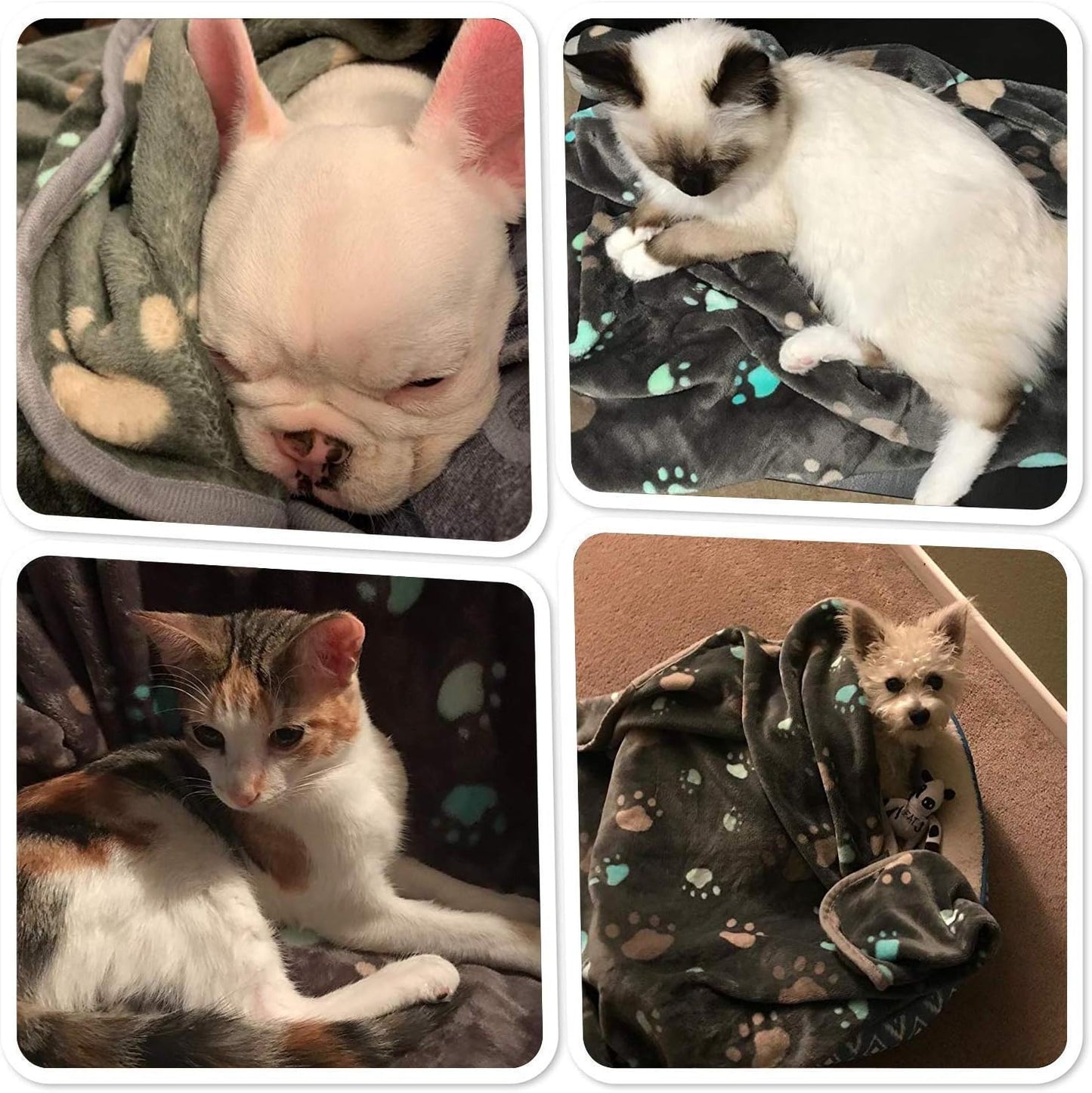 Ultra-Soft 350 GSM Fuzzy Flannel Pet Blanket - Adorable Washable Design for Dogs & Cats, Perfect for Indoor & Outdoor Use, Grey, 40 x 32 Inches