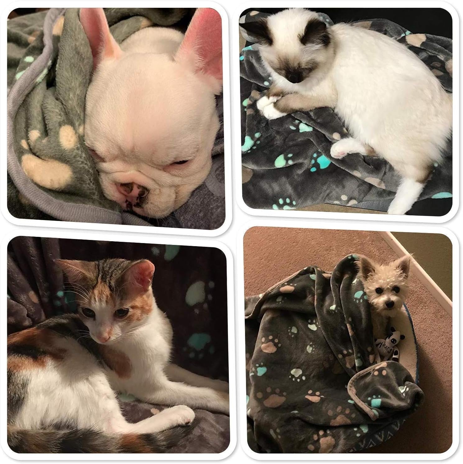 Ultra-Soft 350 GSM Fuzzy Flannel Pet Blanket - Adorable Washable Design for Dogs & Cats, Perfect for Indoor & Outdoor Use, Grey, 40 x 32 Inches