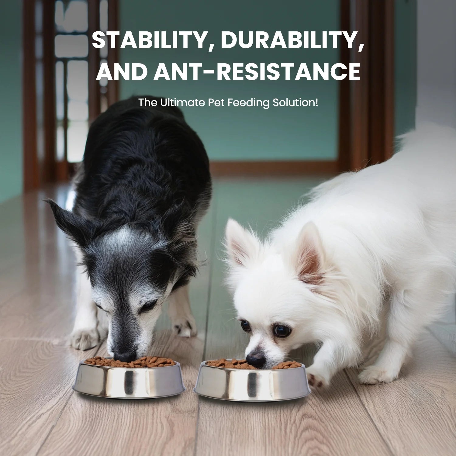Non-Skid Stainless Steel Pet Bowl for Dogs and Cats - 16 Oz (2 Cup)