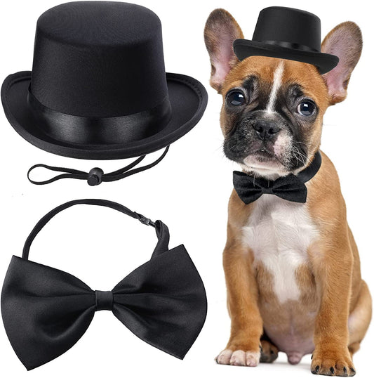 Stylish 2-Piece Pet Formal Accessories Set - Top Hat & Necktie/Bowtie for Dogs & Cats - Perfect for Birthdays, Graduations, & Halloween (Black-A)