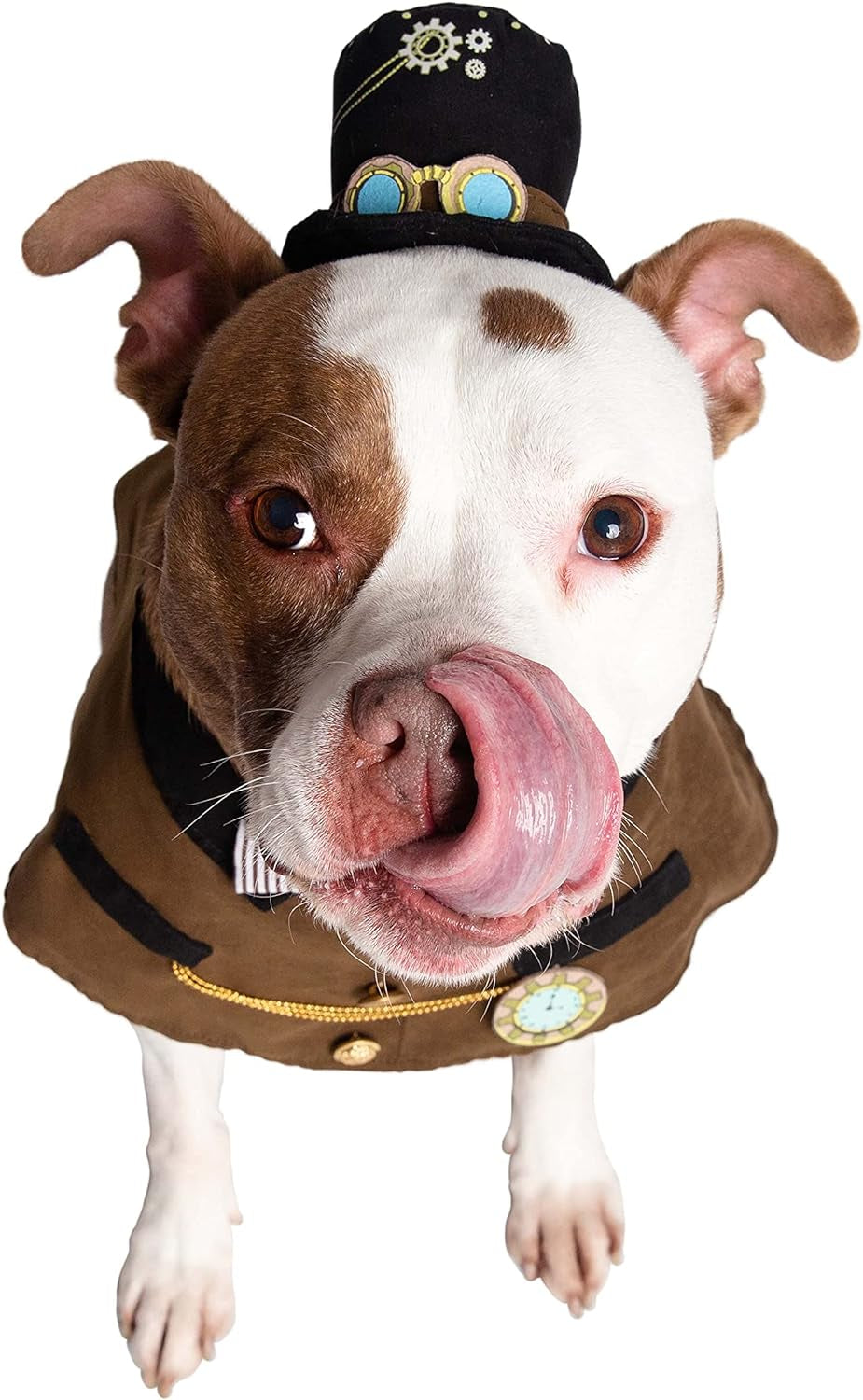 Adorable Steampunk Costume Hat & Collar Set for Small Dogs & Cats - Ideal for Halloween, Christmas, Parties, and Photoshoots! Perfect Gift for Pet Lovers!